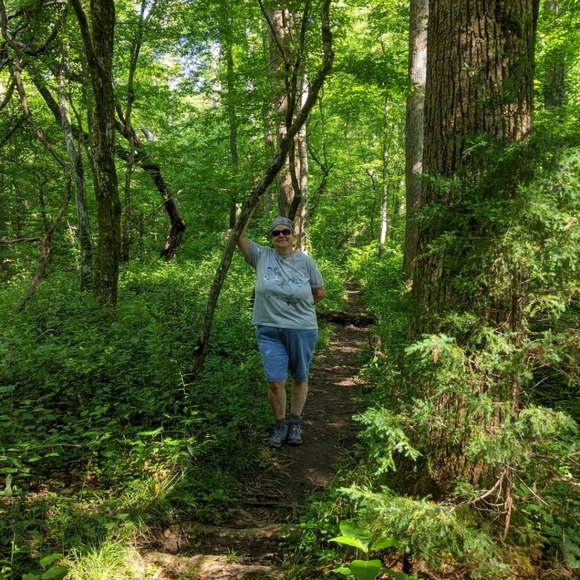 Meet your Posher, Cat - Picture 9 of 10